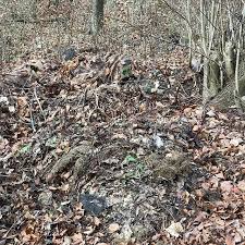 Perfect Imitation Of The Forest Floor Nice Job Sniper Camouflage Camo Pictures Military Camouflage