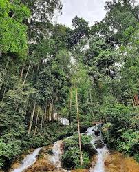 Hutan ini tempat yang popular untuk pengunjung berkelah. Tempat Melancong Di Selangor 40 Tempat Menarik Di Selangor Yang Best Dilawati Ketika Cuti See More Of Tempat Menarik Di Selangor On Facebook Setokan