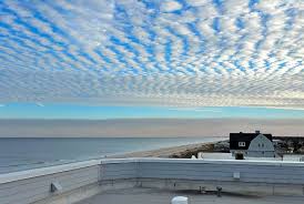 Check spelling or type a new query. Things To Do At Amelia Island In Winter Luggage And Lipstick