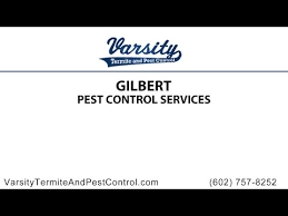 Pest control in tampa with a money back guarantee! Gilbert Pest Control Company Varsity Termite Pest Control