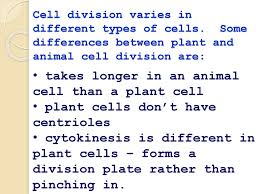 We did not find results for: Genes And Cell Division Mitosis Ppt Download