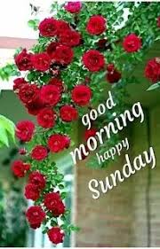 This article contains some beautiful sunday good morning images in hindi with inspirational sunday quotes and messages. 29 Happy Sunday Good Morning Images In Hindi Photo Of The Day Goodnightimagenet