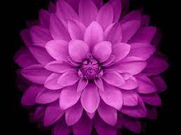 Here are only the best ipad hd wallpapers. Check Out All The Gorgeous New Wallpapers In Ios 8