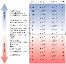 The main use for muriatic acid in a pool is to lower ph balance. Intec S Water Problem Blog