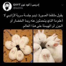 pin by aya ban ma3rouf on rire anime art girl art girl cute