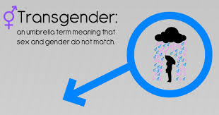 Ask yourself why you are curious. Facts About The Transgender Community Choices Psychotherapy