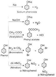 Plus Two Chemistry Notes Chapter 11 Alcohols Phenols And Ethers A Plus Topper Alcoholsphenolsan Chemistry Notes Plus Two Chemistry Notes Organic Chemistry