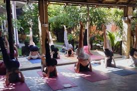 Yoga With Asiri In 2020 Yoga Retreats Start The Day