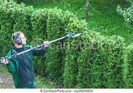 Free shipping on orders over $99 with arrive alive guarantee from the tree center. Hedges Cutting Hedge Trimming Works In A Garden Professional Gardener With A Professional Garden Tools At Work Canstock
