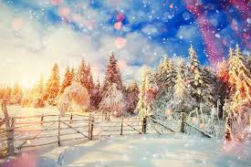 Winter fantasy, fence, sun, wonderland, bonito, trees, sky, winter,  beauitiful, HD wallpaper | Peakpx