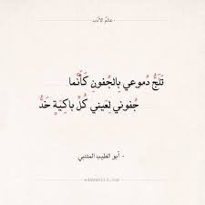 شعر أبو الطيب المتنبي تلج دموعي بالجفون كأنما عالم الأدب Arabic Calligraphy Calligraphy Arabic