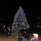 West Haven Christmas Tree Lighting 2025 event image