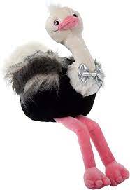 Amazon Com The Petting Zoo Zootique Ostrich Stuffed Animal Gift For Girls Olivia Ostrich Plush 1 Zoo Animals Pets Gifts For Girls