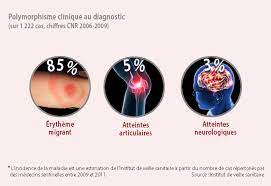 Symptômes, traitement, photo, 3 stades. La Maladie De Lyme En 10 Questions Inrae Instit