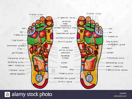 Reflexology Chart Foot Feet Massage Menu Indicate Zone Area