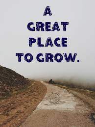 The central valley is a great place to grow things. A Great Place To Grow Slogansmotto Com