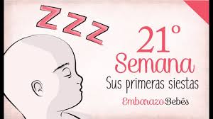 Linear unit las próximas semanas el crío crecerá cerca de el sinalagmático de su tamaño y aumentará diez. Semana 22 De Embarazo 6Âº Mes Semana A Semana Youtube