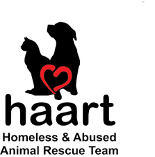 Safe perth is no kill rescue consisting of foster carers who have opened their homes to the unwanted animals. Dogs Puppies Pet Rescue Animal Shelters In Western Australia Wa