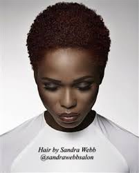 Sandra Webb Hair