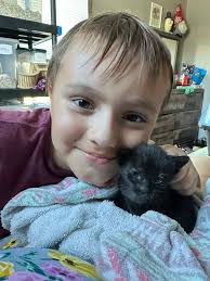 Teamwork saves 15 kittens in Michigan