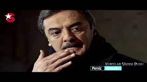 ziyaret edilecek yerler panosundaki pin