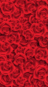 We have 62+ background pictures for you! Rose Tablet Wallpapers Top Free Rose Tablet Backgrounds Wallpaperaccess