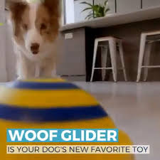 Pin By Umut On Alles Und Nix Video Dog Toys Indestructable Interactive Dog Toys Dogs