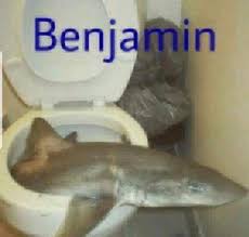Find the newest benjamins meme. Benjamin Is Cool Memes
