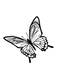 Monarch butterfly background printable coloring page. Butterfly Coloring Pages The Largest Collection Of 130 Pieces Print Or Download For Free Razukraski Com