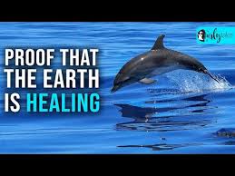 7 Positive Things Amidst COVID-19 Outbreak That Prove That The ...