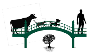Lesson 1 read and choose a, an or the. Ijms Free Full Text Bridging The Gap Between Alzheimer S Disease And Alzheimer S Like Diseases In Animals Html