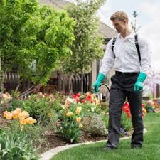 Is ultrasonic bark control safe for dogs? Aptive Environmental 28 Photos 236 Reviews Pest Control 4700 Northgate Blvd Natomas Sacramento Ca Phone Number Yelp