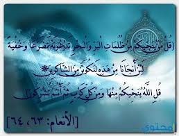 ايات الرزق والغنى كاملة مكتوبة موقع محتوى