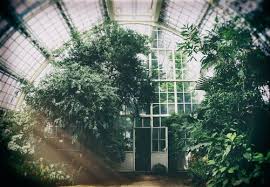 See more ideas about greenhouse, elite greenhouses, image. 1 000 Best Greenhouse Photos 100 Free Download Pexels Stock Photos