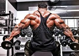 These muscles include the large paired muscles in the lower back, called erector spinae, which help hold up the spine, and gluteal muscles. Muscles Back Muscles Upper Back Lower Back V Shape Best Muscle Building Supplements Back Exercises S Bodybuilding Motivation Bodybuilding Workouts Bodybuilding