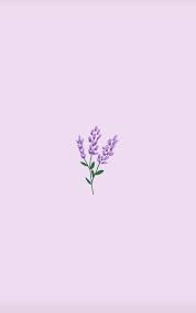 Discover all images by marta bieńkowska. Minimalist Purple Flowers Wallpapers Top Free Minimalist Purple Flowers Backgrounds Wallpaperaccess