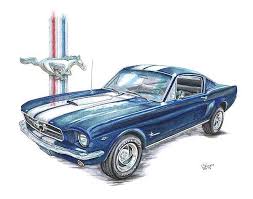 1965 Ford Mustang Print By Shannon Watts Mustang Drawing Mustang Cars Ford Mustang