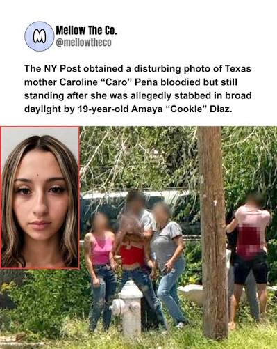 Remember: She smiled when the police arrested her 🔒 The NY Post obtained a  chilling photo showing Texas mother Caroline “Caro” Peña bloodied but still  standing after she was allegedly stabbed in