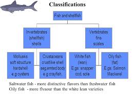 fish shellfish classifications types structures