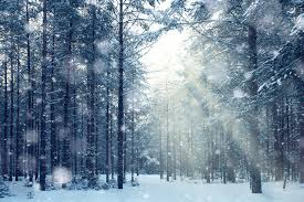 Braydenliechty #snowcollege #snowcollegepolice #ephraimutah #utahpolicecars. Snow In Europe 2019 Royal Meteorological Society