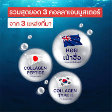 WELL U Collagen Type ll Plus Abalone สารสกัดจากหอยเป๋าฮื้อ บำรุงข้อเข่า  100g.