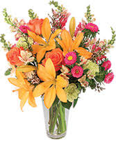 There are no national figures documenting homeless people demography at this time. Get Well Flowers From Flowers By Hp Papadopoulos Local Modesto Ca Flori
