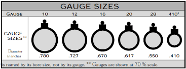 shotgun facts everyone should know