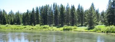 Island park cabins for sale. Island Park Real Estate Cabins For Sale In Island Park