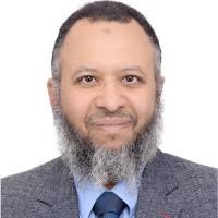 Mahmoud M. Hazem