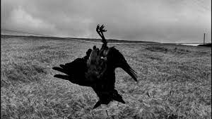 Already fluent in eight languages, the bishop added the ojibwe dialect to his vocabulary after moving to superior. Josef Koudelka Gypsies And Exiles Photography Youtube