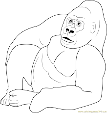 Gorilla Relaxing Coloring Page Free Gorilla Coloring Pages Coloring Pages Gorillas Art Gorilla