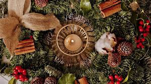 ¡todavía estás a tiempo de sorprender a tus invitados y hacerles la navidad todavía más agradable con tu original. Como Decorar Una Casa Con Flores En Navidad