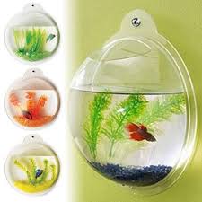 Features Exclusively Sold By Vandue Buy 3 Get One Free Comes In Foam Padded Case The Original Fish Bubble Be Unique Fish Tanks Fish Tank Room Themes