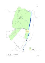 Image result for Chlorophytum macrosporum